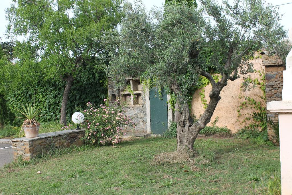 Domaine Le Clos Des Oliviers Sorbo-Ocagnano Екстериор снимка